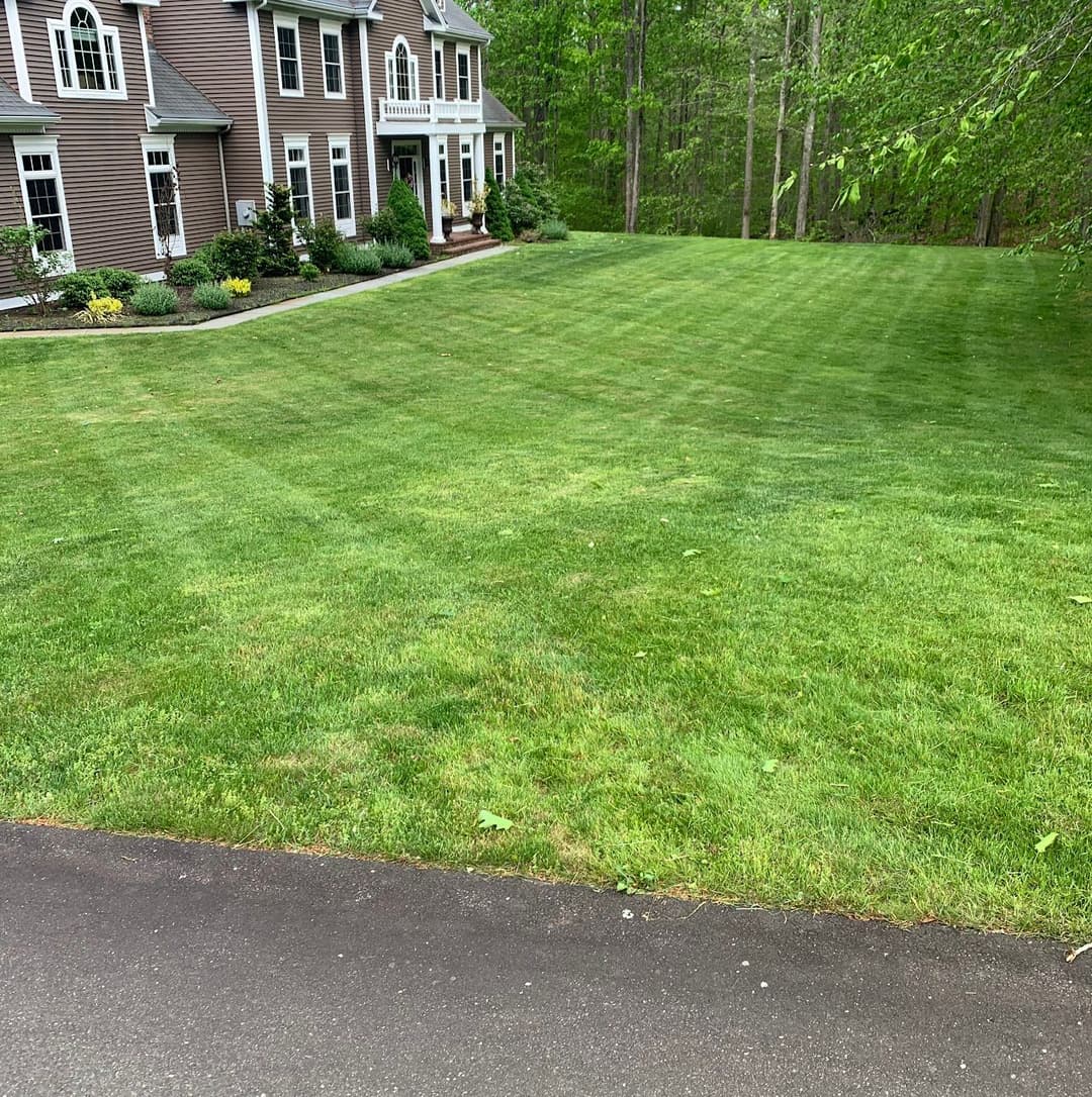Lush green lawn in front of a modern home surrounded by trees and landscaping.