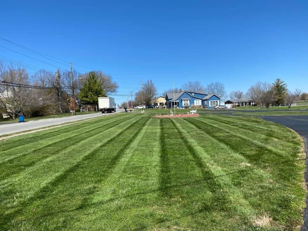 Vibrant green lawn with striped mowing pattern, residential area and clear blue sky.