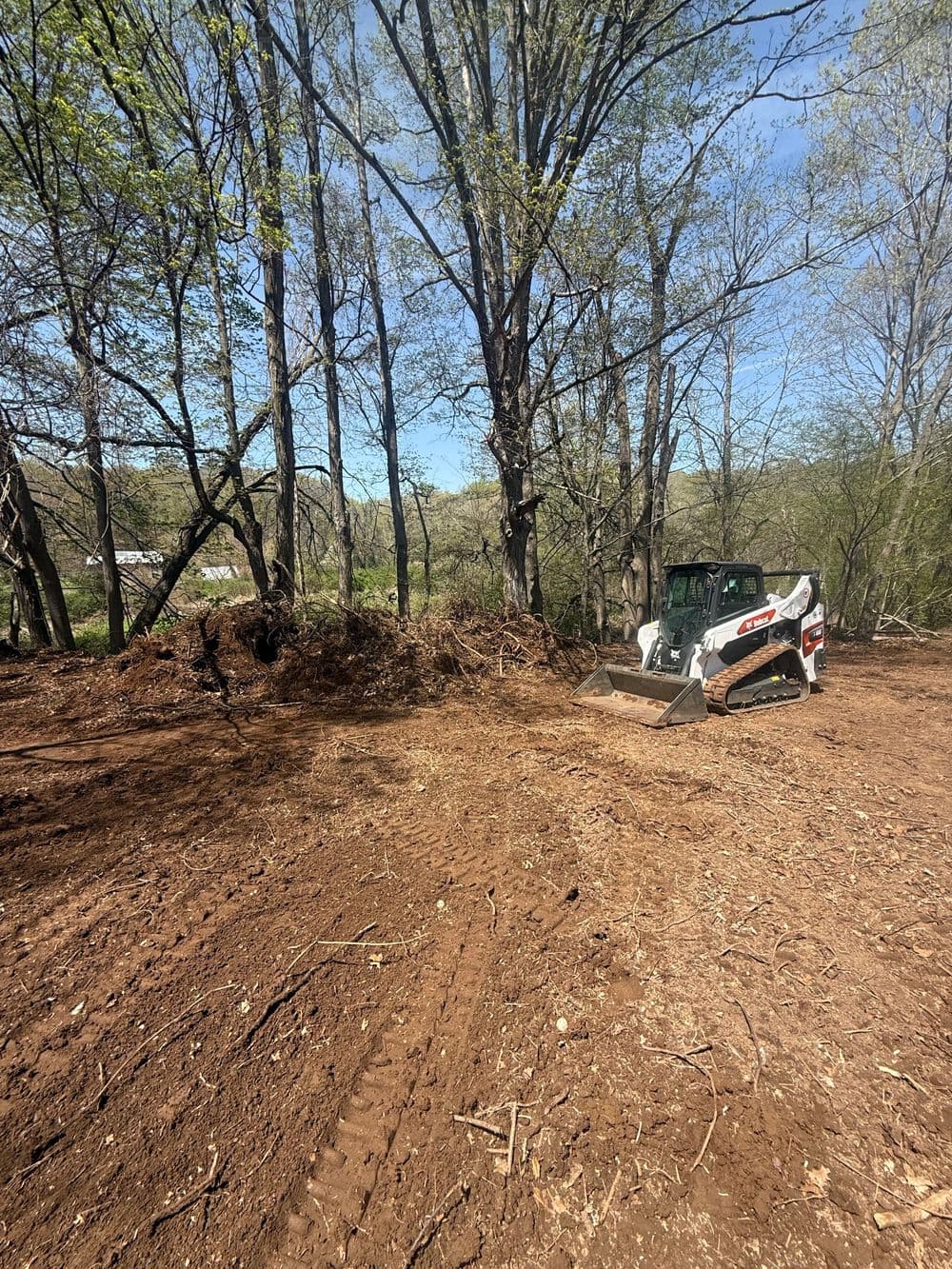Bobcat skid steer clearing land in wooded area, with tree debris piled nearby.