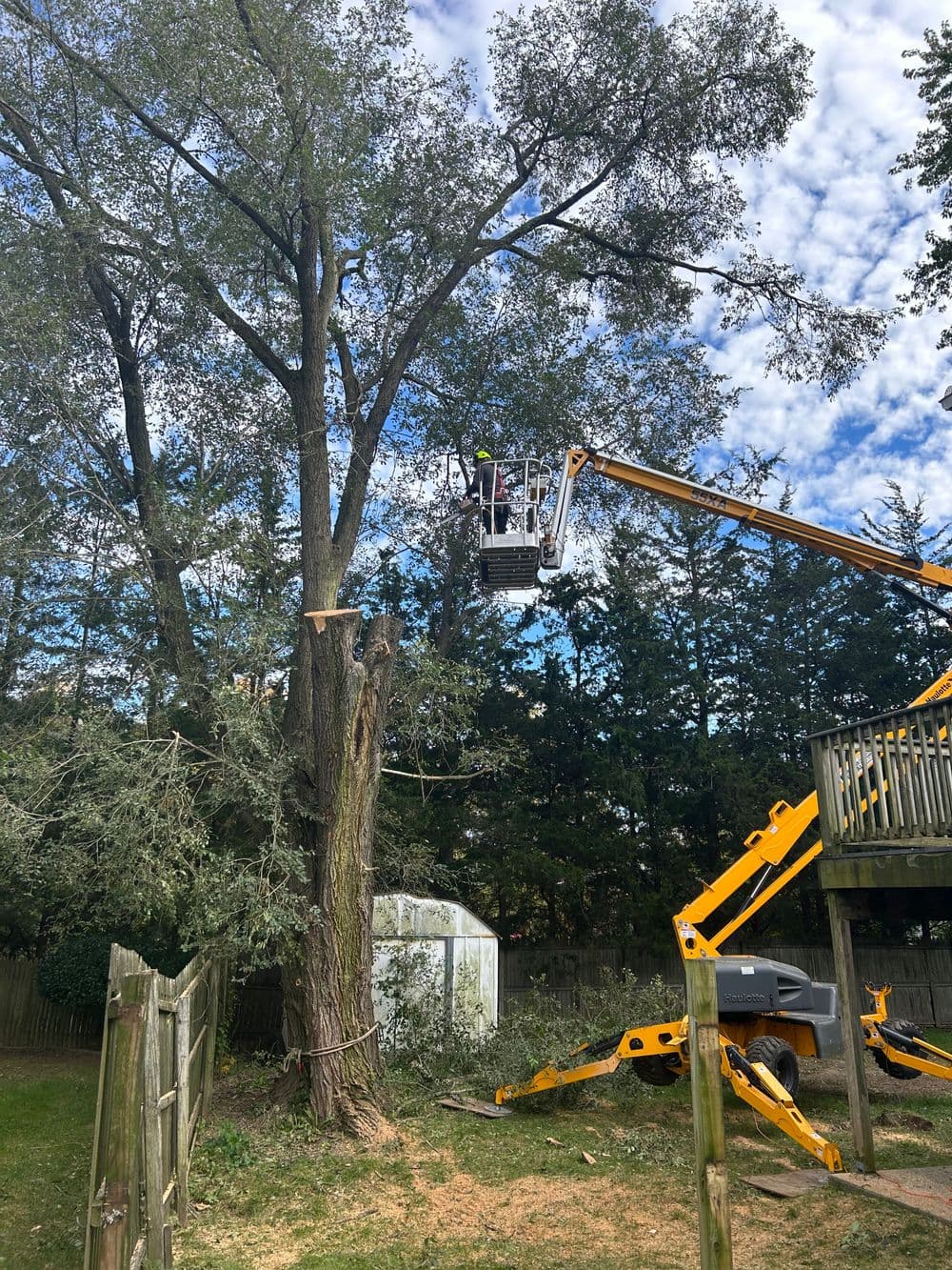 Tree removal service using a crane lifts workers to trim branches in a residential yard.